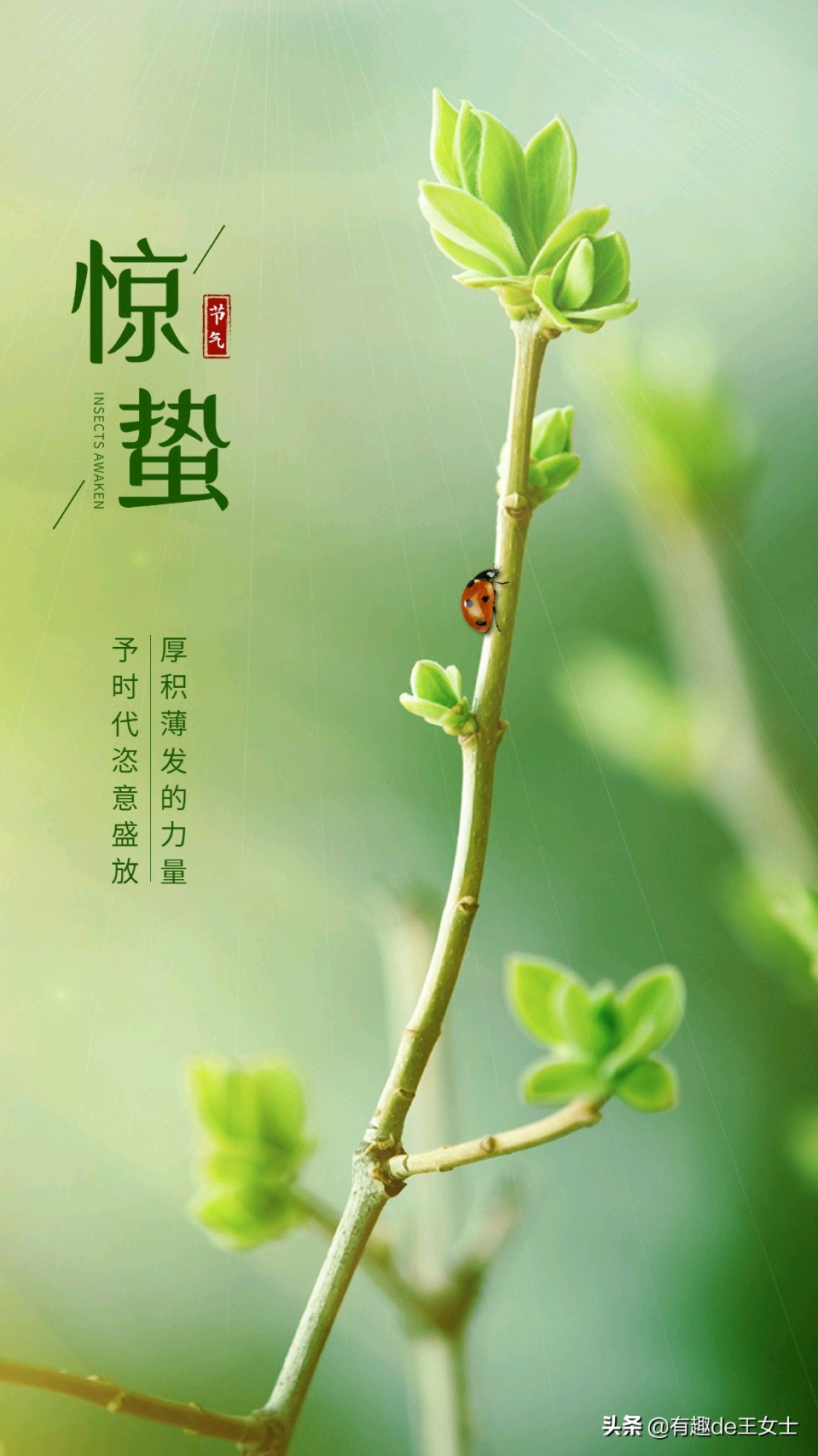 【故道文化·古诗·8301】姜金勇《惊蛰》（图3）