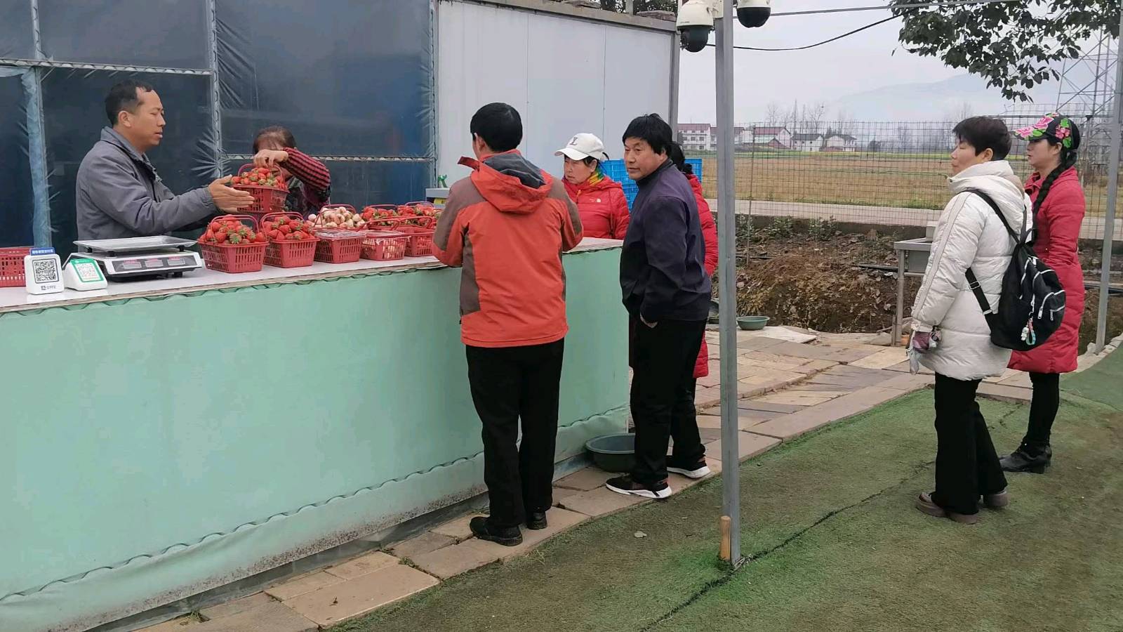 政策宣讲进莓园 志愿服务助增收（图2）
