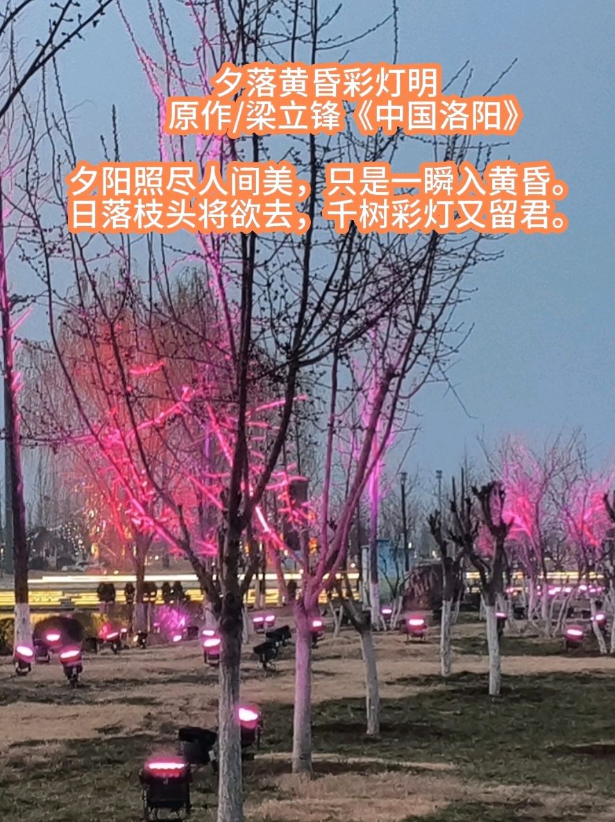 夕落黄昏彩灯明 原作/梁立锋（图3）