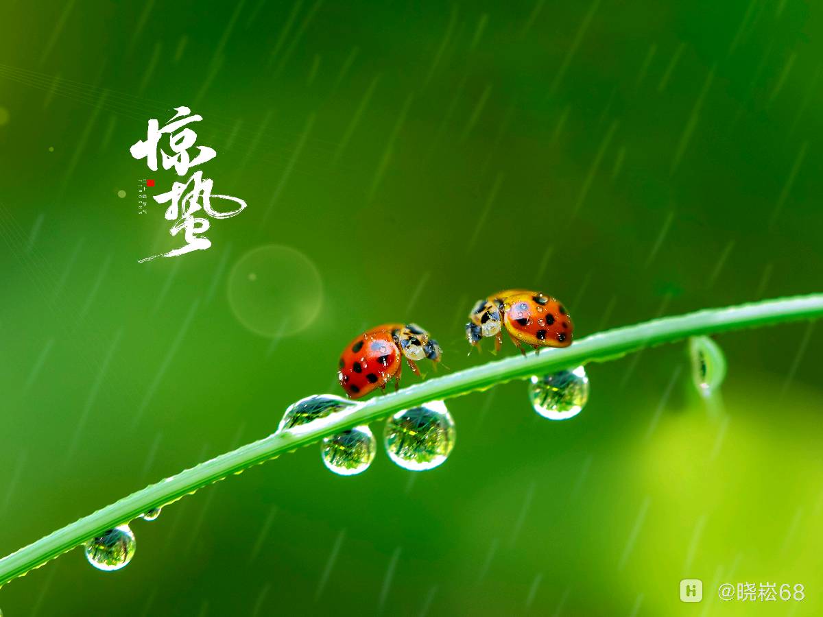 惊蛰 作者:张满海（图2）