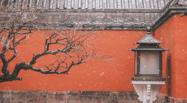 【名家精品】敬请欣赏||张会杰老师词四首合集专辑（图7）