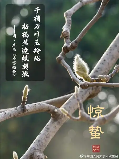 惊蛰||巴彦诗协【1201】（图7）