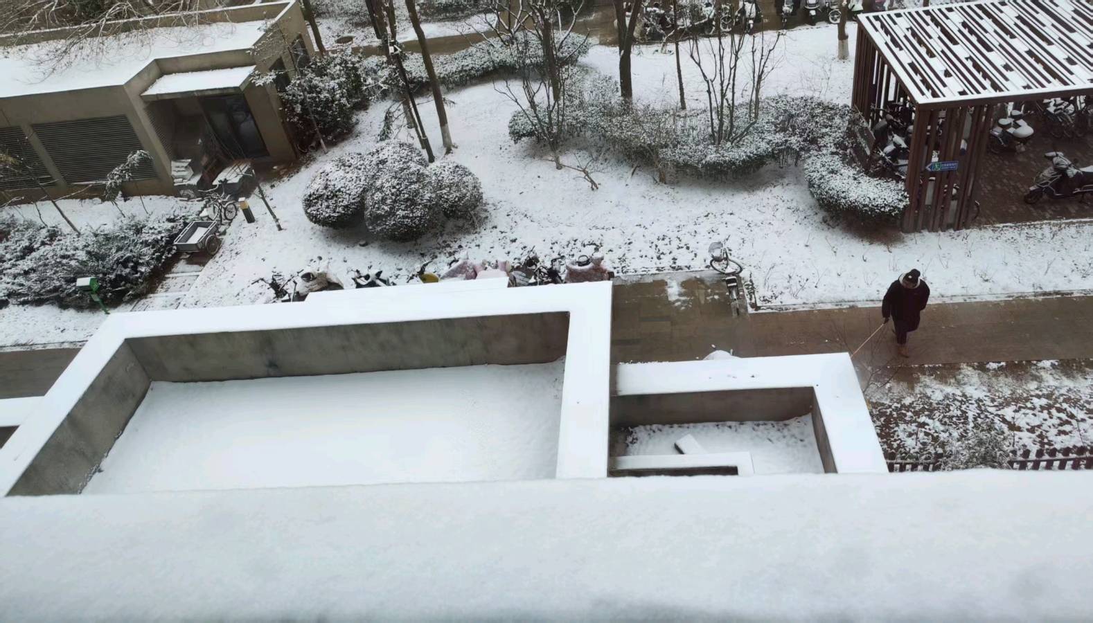 雪的品格/作者:郑春玲/主播:姚新荣(图3)