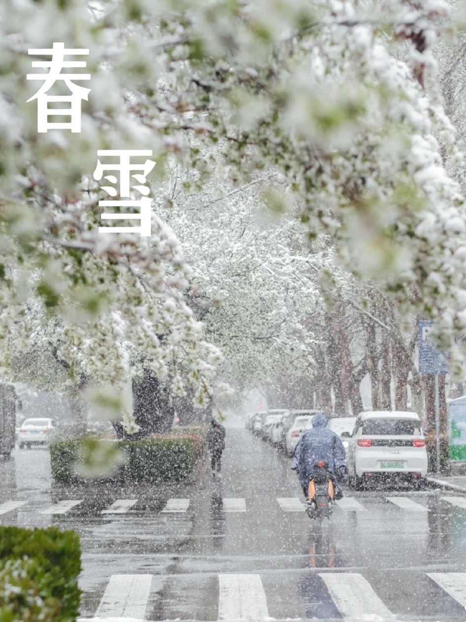 ［配音诵读］雪花 //文/蔡成立//朗诵/雅楠