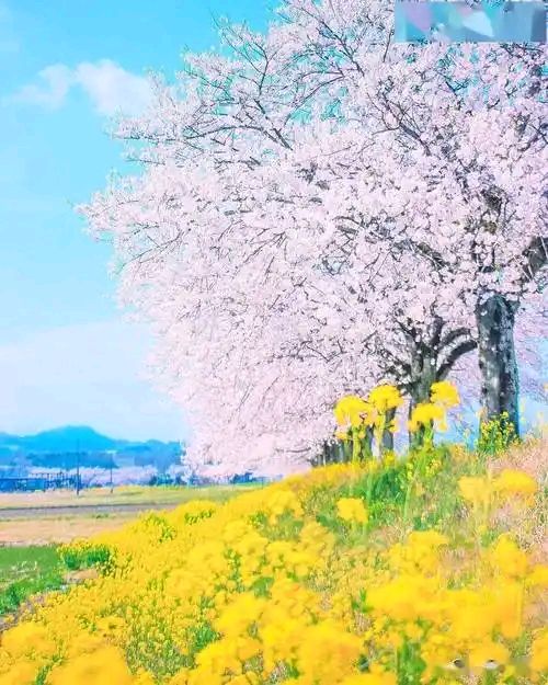 上元十六雨加雪(通韵)文/赵钟铭（图2）