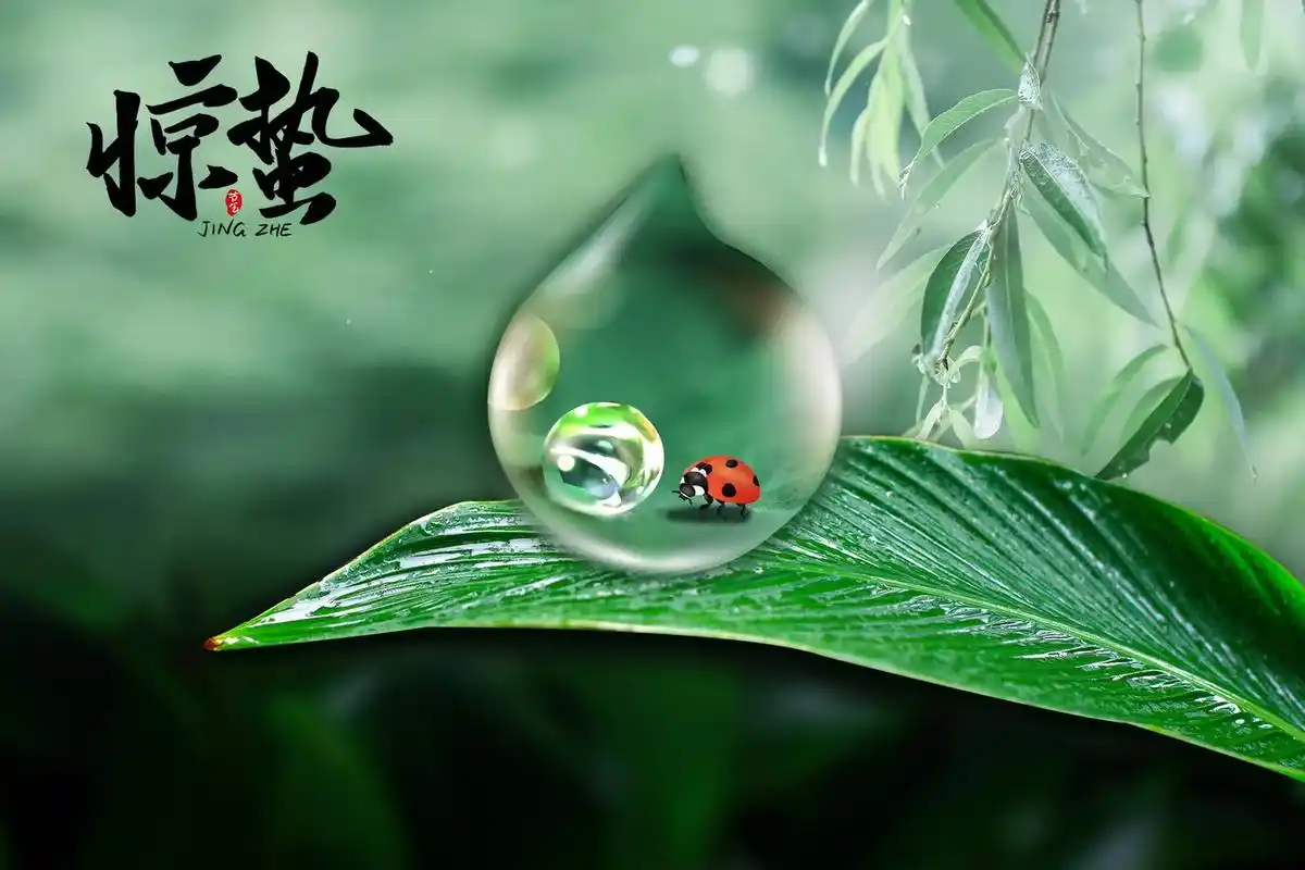 【首都版】蓝星诗苑直属第八分校特刊（图18）