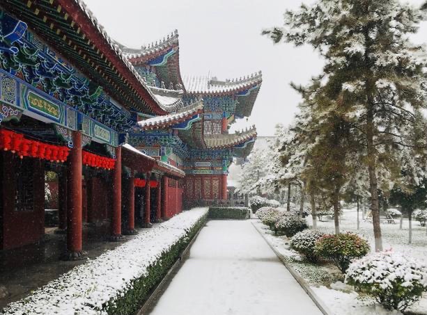 【新诗大观】雪，你让我如何不想||文/桁月（图2）