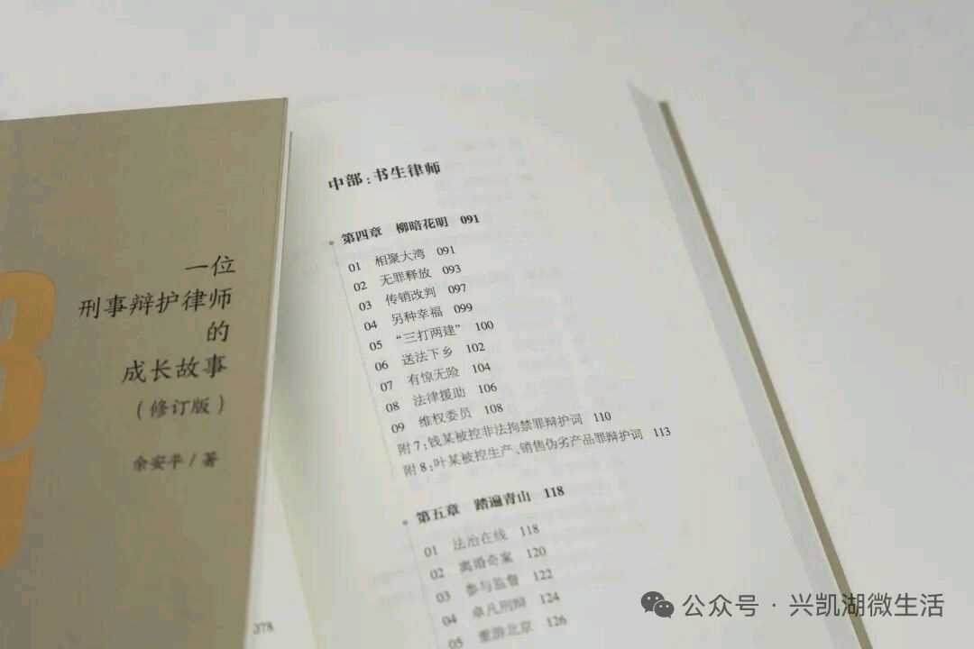 惠州市成功举办余安平《三十而律》(修订版)新书发布会/作者:王夫(图14)