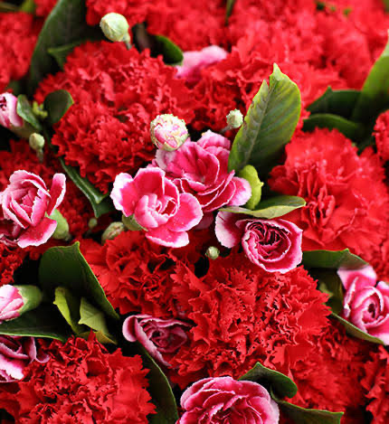 女神节（图4）
