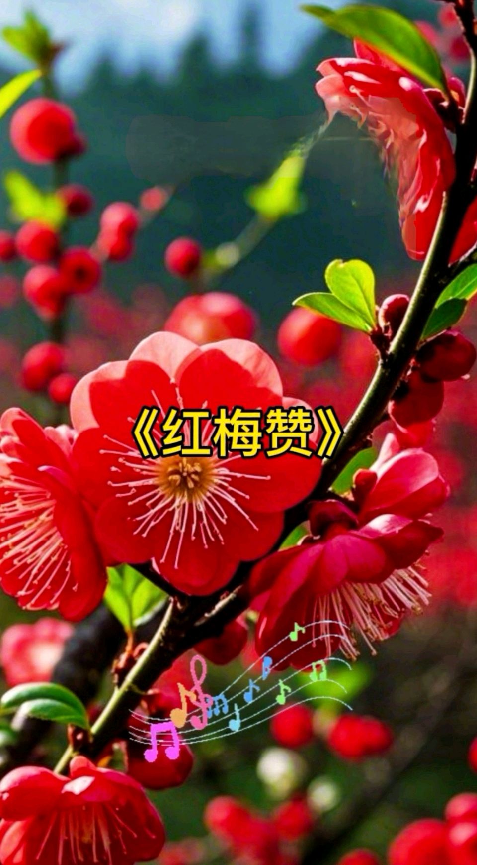 神州遍地女英雄～李耀文（辽宁）（图16）