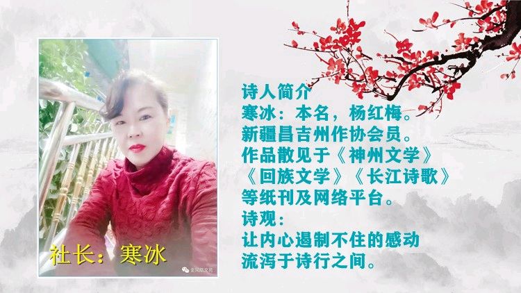 聆听 ‖ 紫菱菱朗诵《女人如花 静静地开》作者/寒冰（图3）