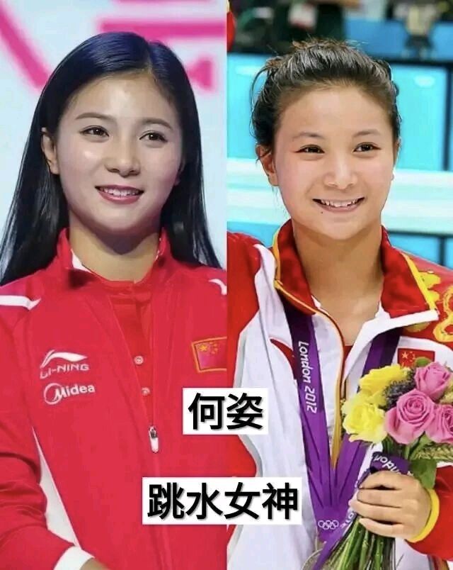 岁月峥嵘赞英杰赞跳水大满冠得主 何姿（图3）