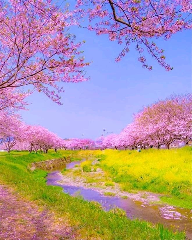 西江月•妇女节赞巾帼（柳永体） 作者:李瑞清（内蒙古）（图3）