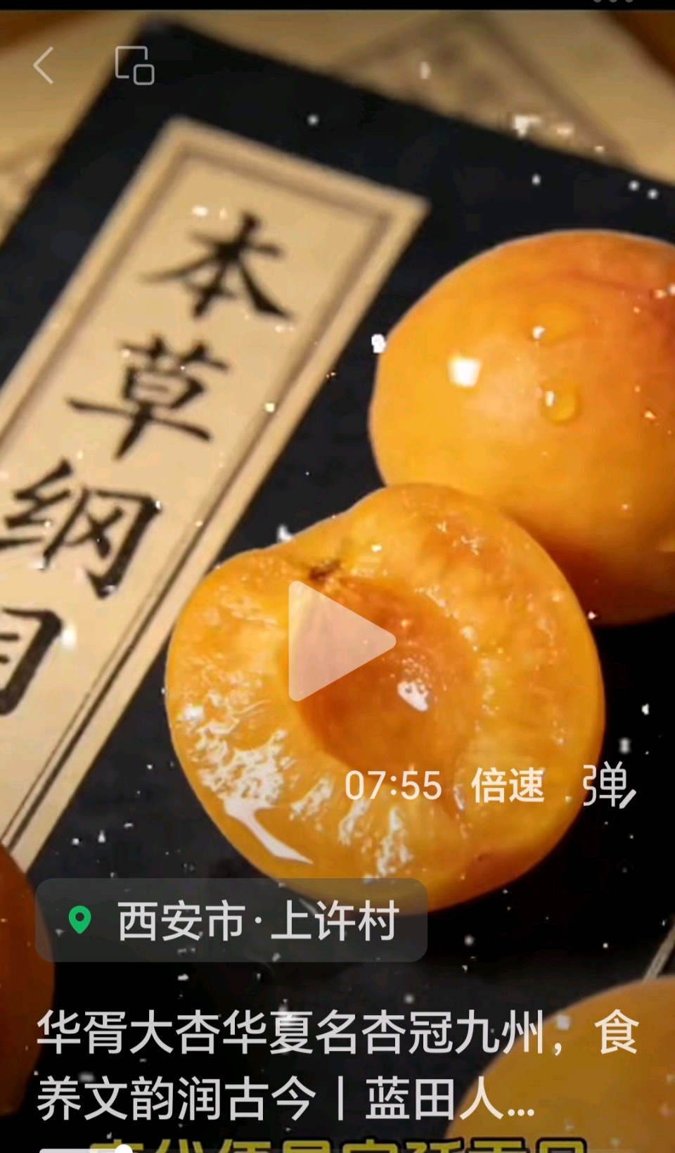 玉城愚夫（辑录）//华胥上许村大杏图片欣赏（图3）