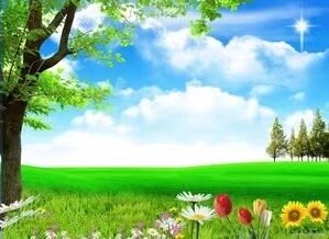 《我在春天等你》作者/王庆福 主播/孙岩峰/孙怡 主编/胡琴（图2）