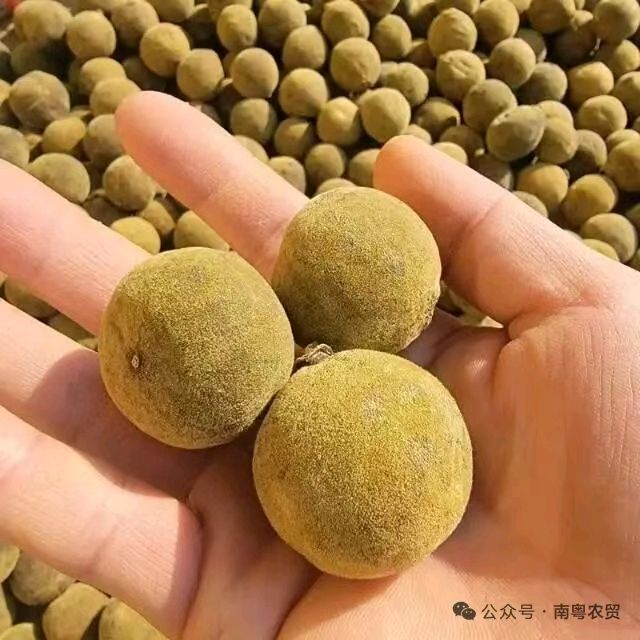 联机全球发布谢瑛中作品欣赏(图11)
