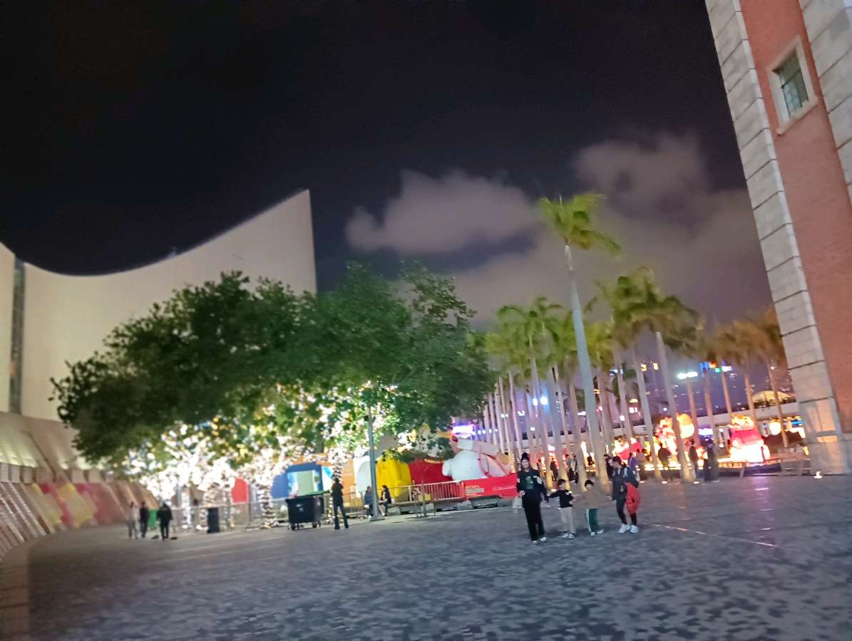 七言排律-香港夜景～李宣财（福建）（图22）