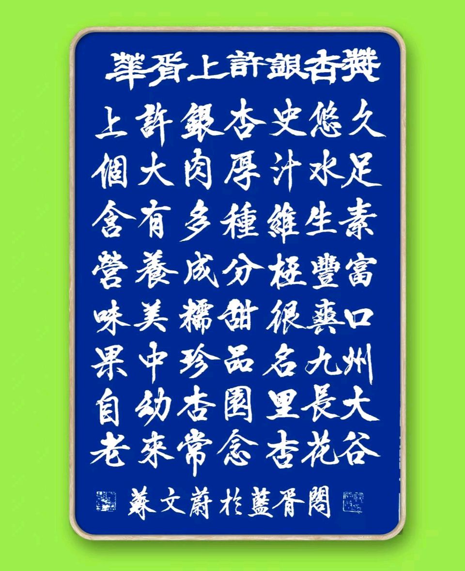 玉城愚夫（辑录）//华胥上许村大杏图片欣赏（图37）