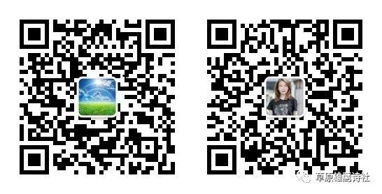 草原雄鹰诗社2026第6期周刊作品展播《组诗词》作者/草原雄鹰诗社诗人(图7)