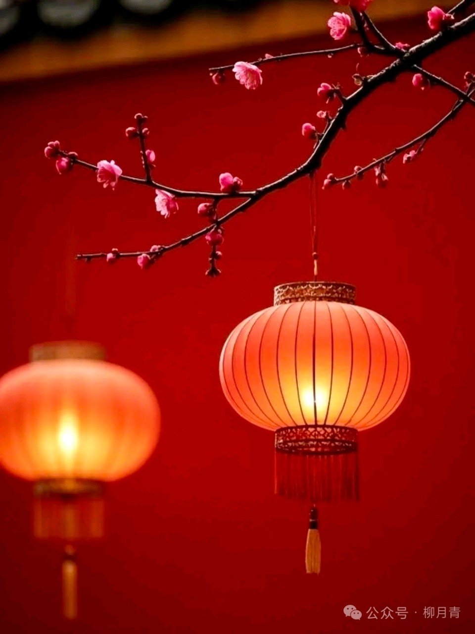 聆听 ‖《诗人啊 请亮出你的名字》作者/雷金钟 朗诵/北京古塔读书会朗读者（图10）