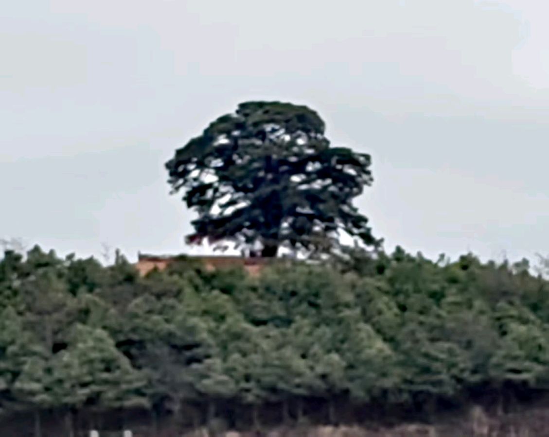 《东川红士地：大地泼洒的炽烈画卷》（图2）