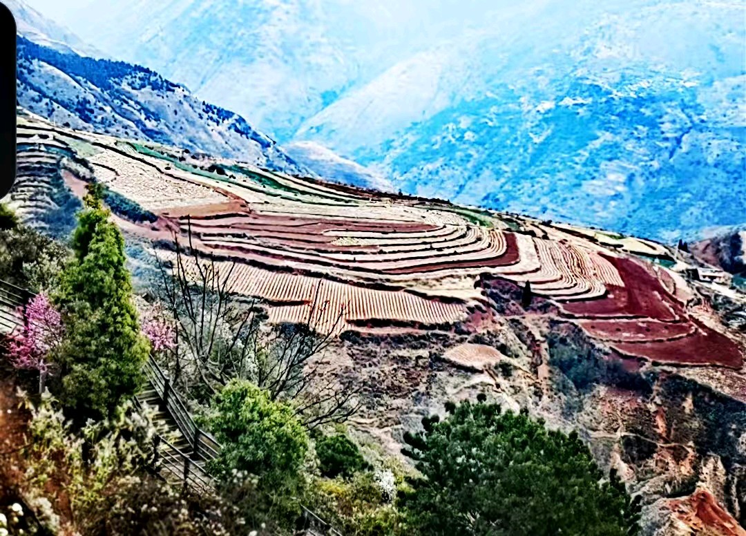 《东川红士地：大地泼洒的炽烈画卷》（图5）