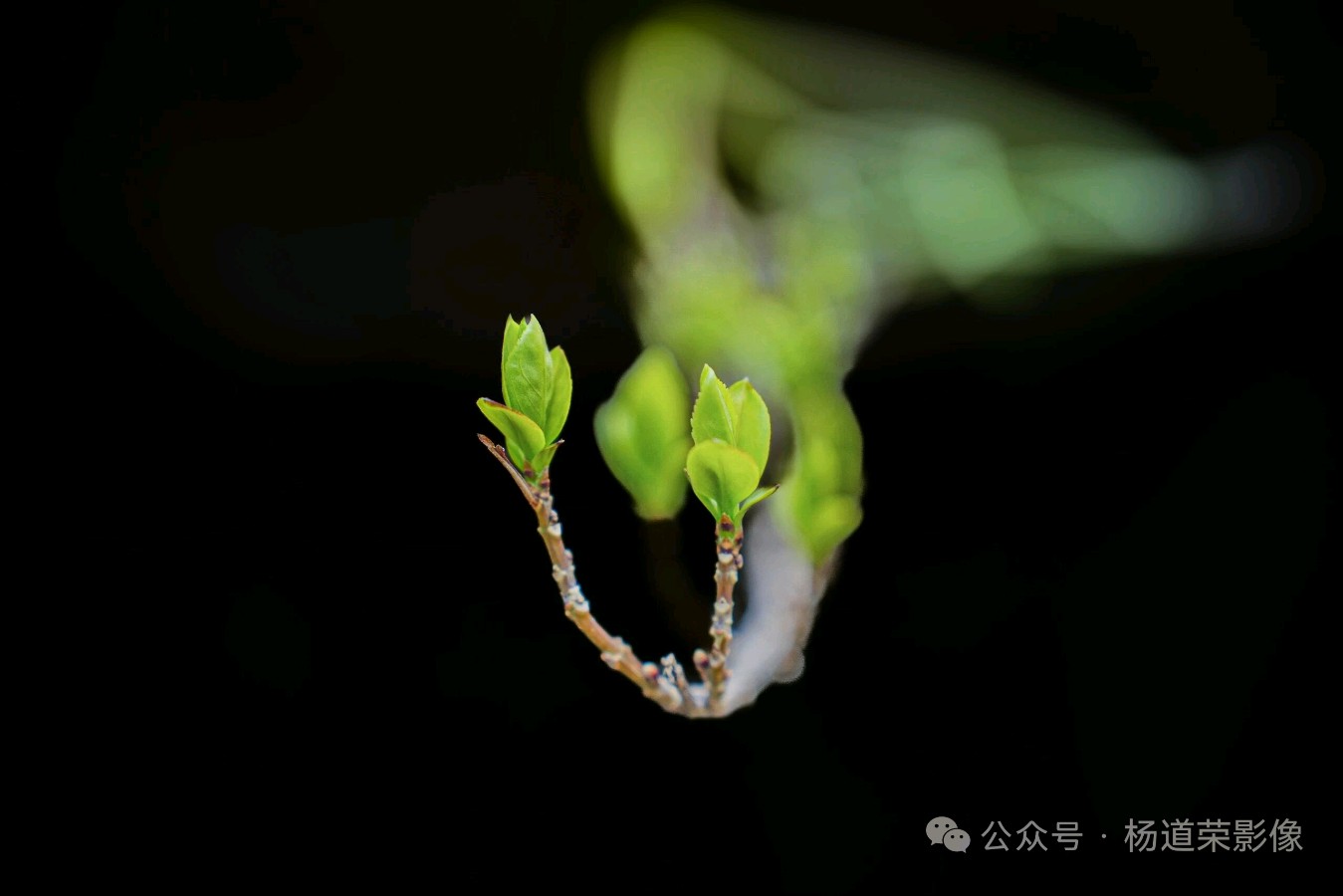 一辈子不吃亏的潜规则