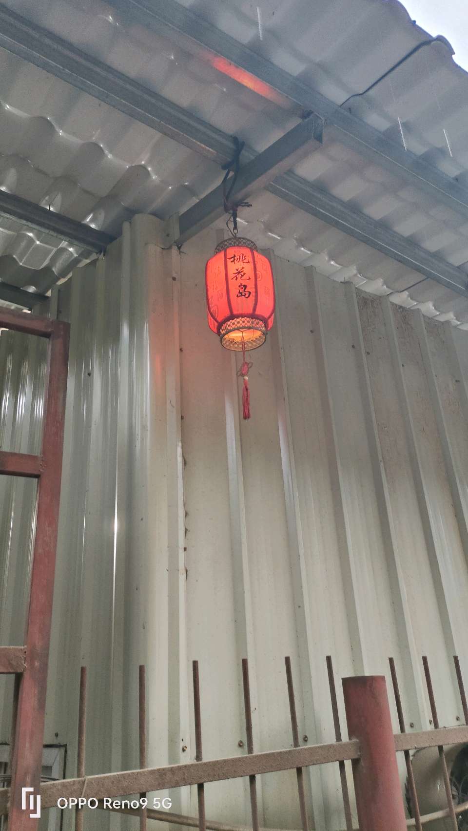 胡文冰、卢明亮、萧剑慧联袂打造微电影《桃花岛之恋》 赋能'赣南桃花岛大湾区后花园康养基地'建设（图5）