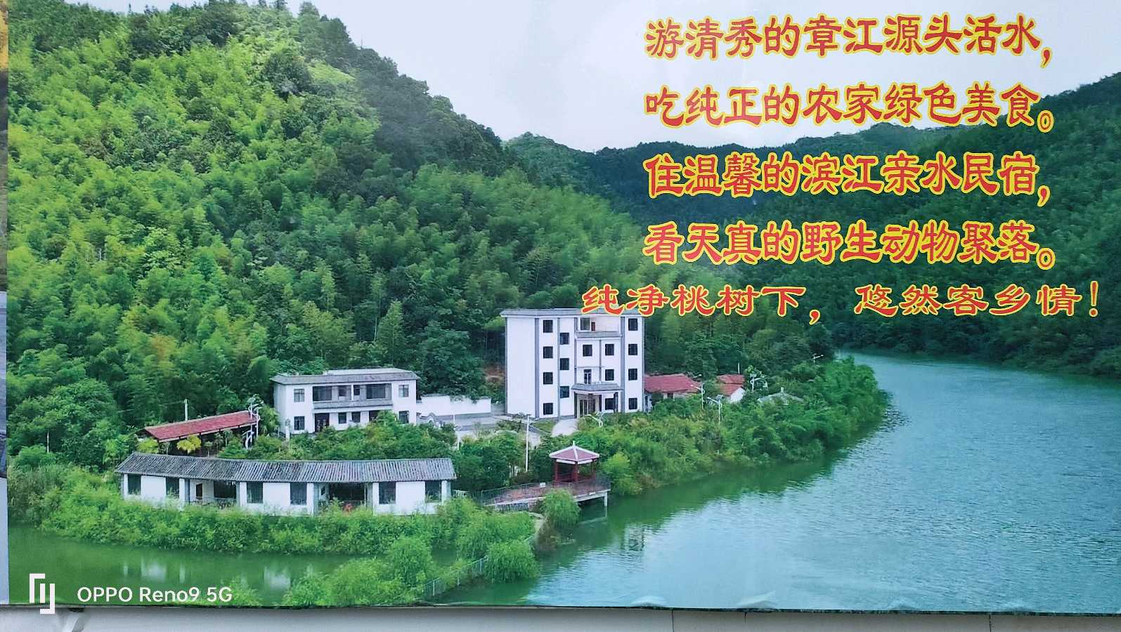 胡文冰、卢明亮、萧剑慧联袂打造微电影《桃花岛之恋》 赋能'赣南桃花岛大湾区后花园康养基地'建设（图4）