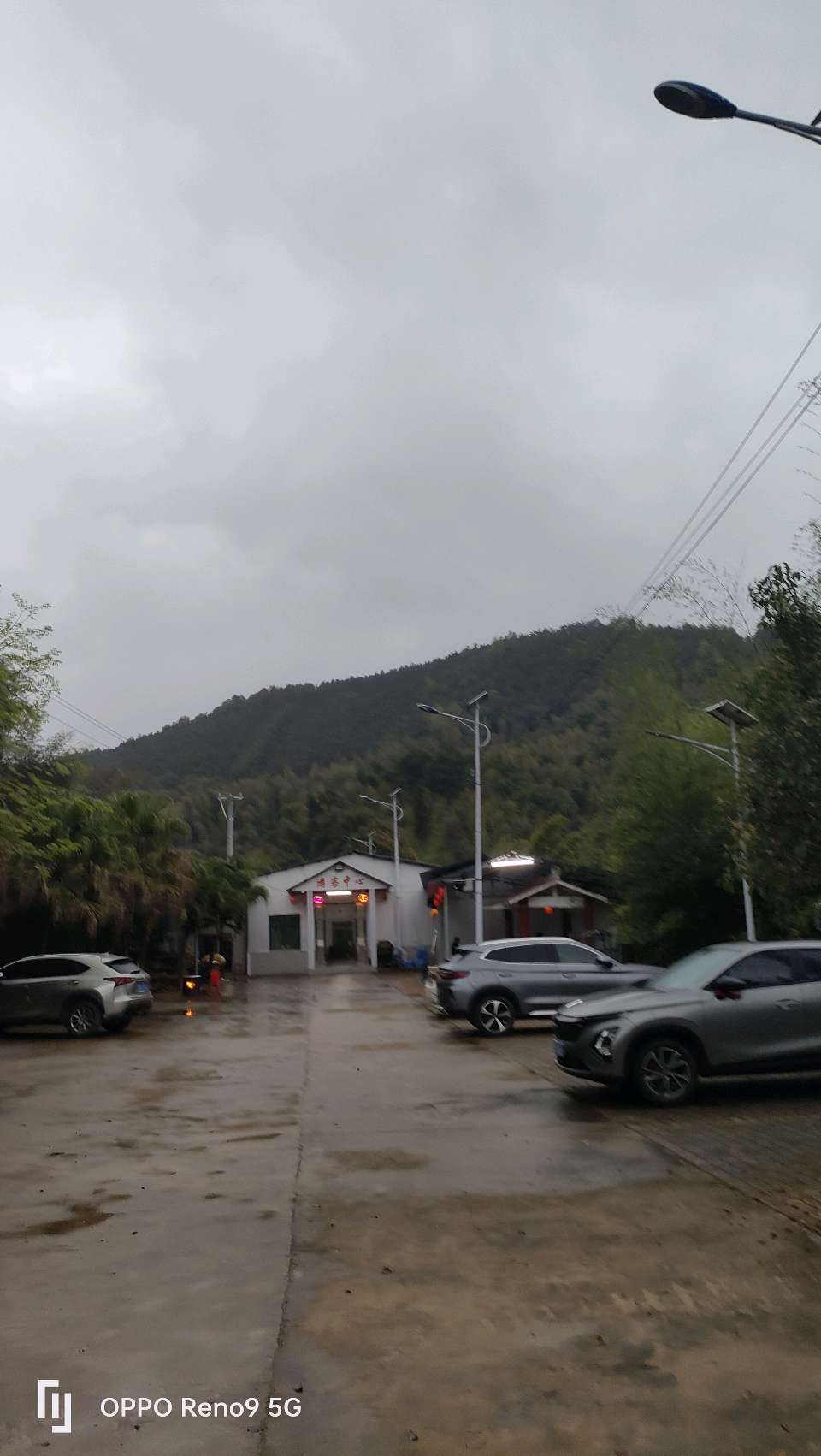 胡文冰、卢明亮、萧剑慧联袂打造微电影《桃花岛之恋》 赋能'赣南桃花岛大湾区后花园康养基地'建设（图15）