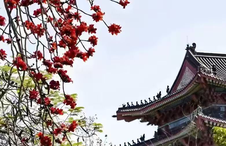 惠州三家人文社团倡议：执生态文学之笔，书“百千万”绿美惠州