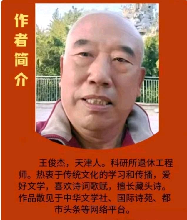 藏头诗:坚守雷锋精神文/王俊杰(天津)（图5）
