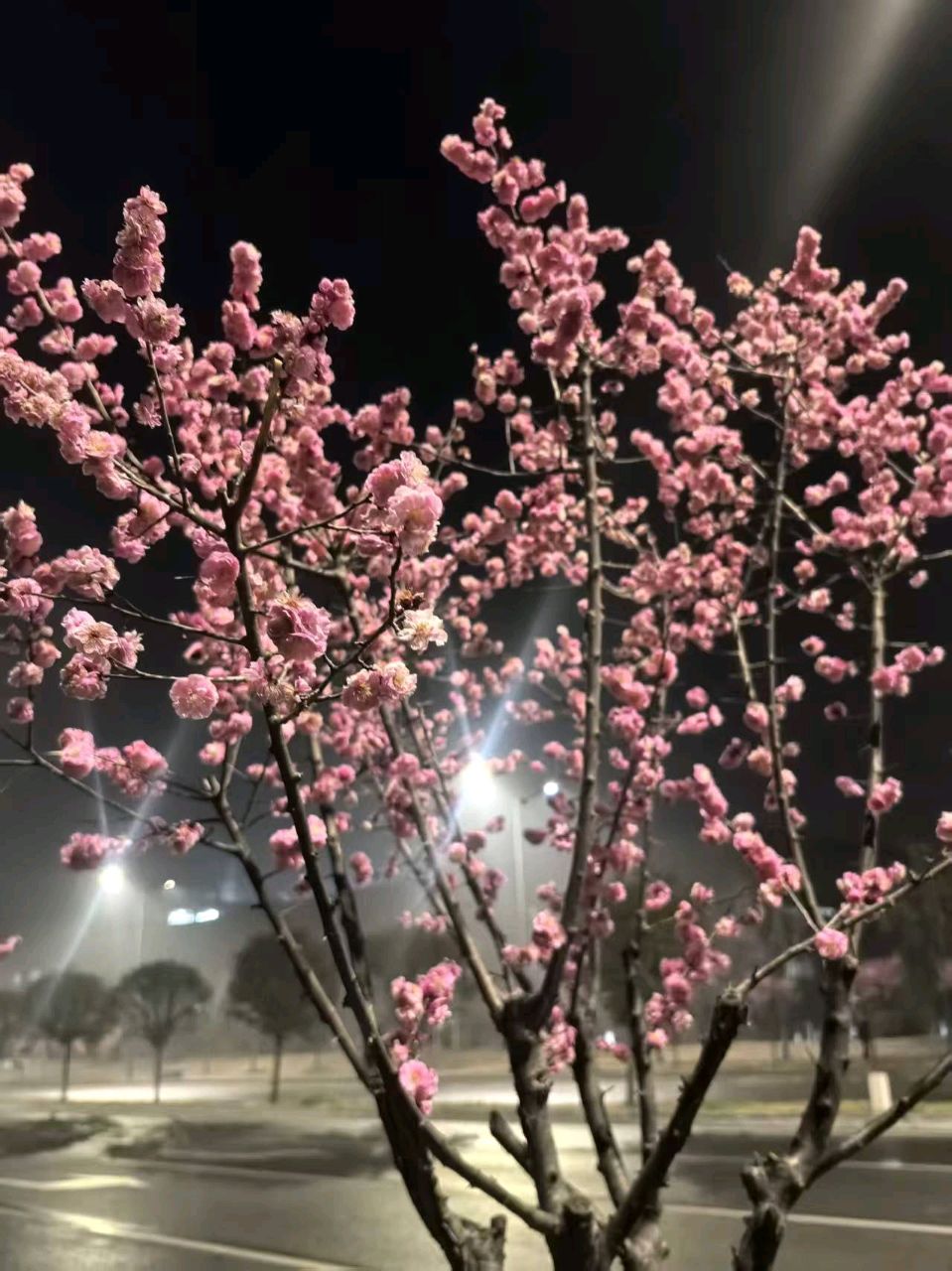 徐生斌//岁月不饶人