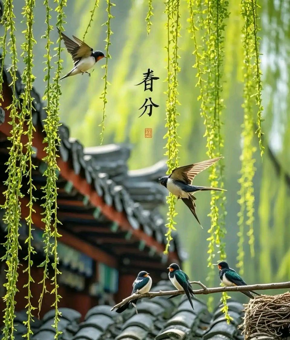 东风第一枝•二十四节气之春分 作者:梁国华（图2）