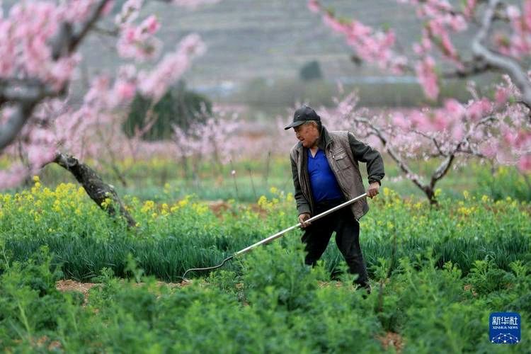 《中华好诗词》隆重推出山东聊城）著名作家诗人梁邦焕先生《七绝.春雨》外五首（2026年第15期）请欣赏（图6）