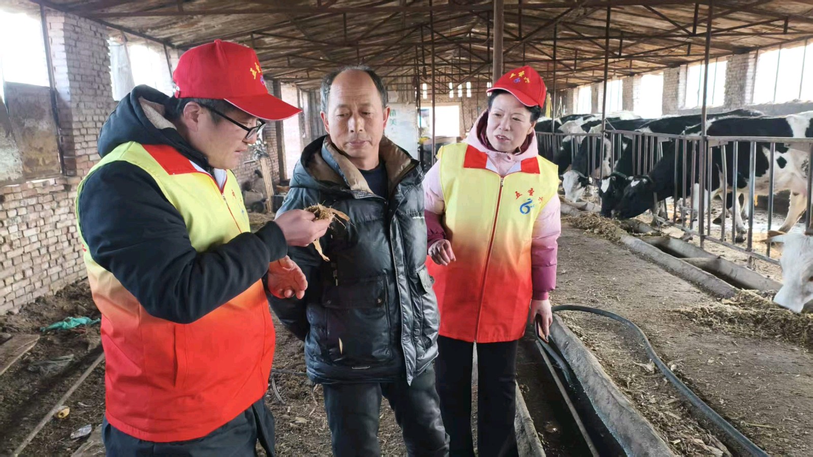 志愿走访解民忧 政策宣讲助养殖（图5）