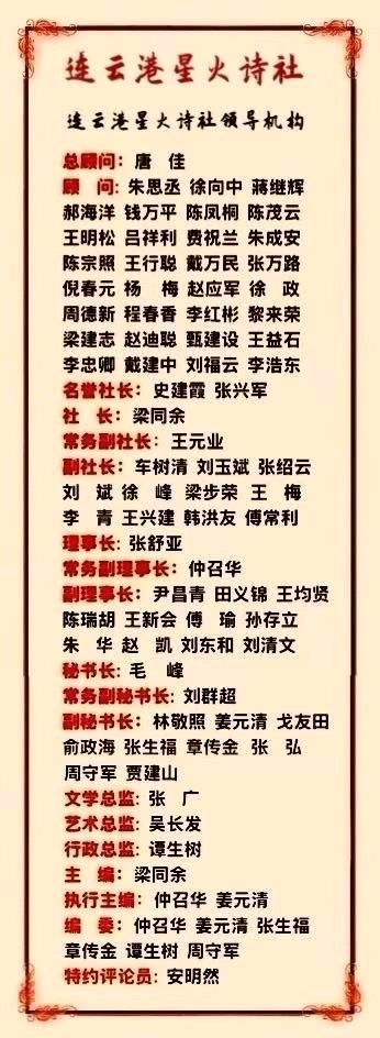 连云港星火诗社263期个人专辑《特邀嘉宾一孙映》（图25）