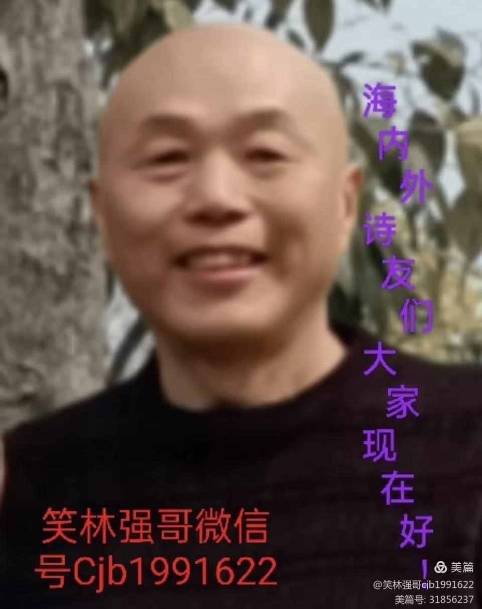 风止-文/陈静波（江西）贵州总社【世界诗人名人展】14322期（图7）