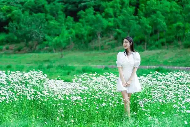 雏菊花～作者◑姚晴柔～导师◑方栋（图10）