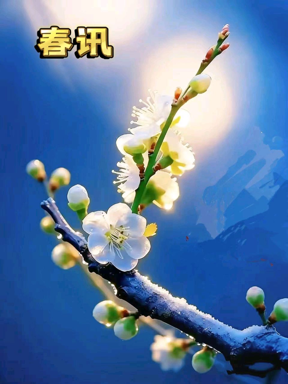 柯善北/诵云中鹤《春讯》