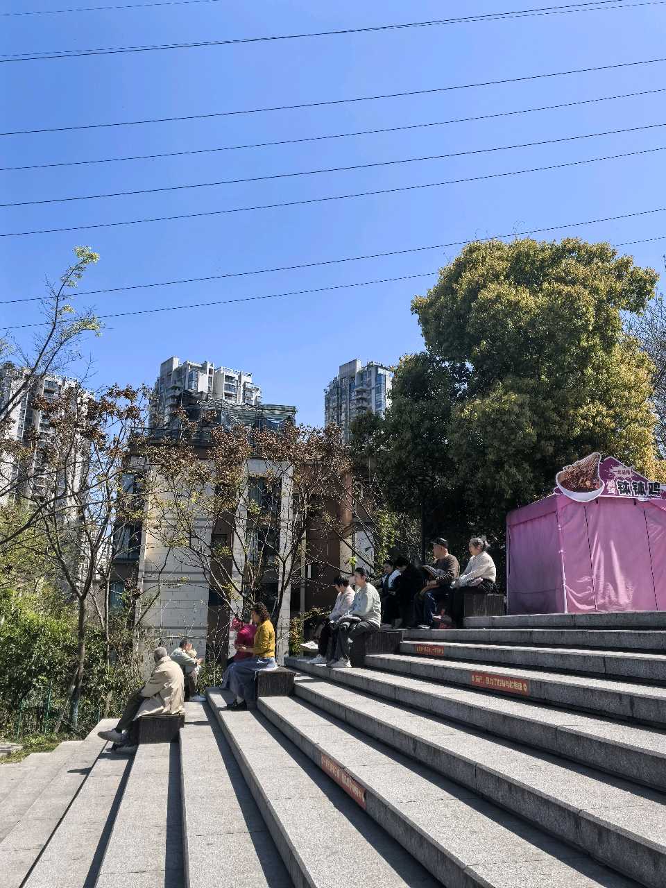 「散文」晴暖渝州，春归母城（图2）