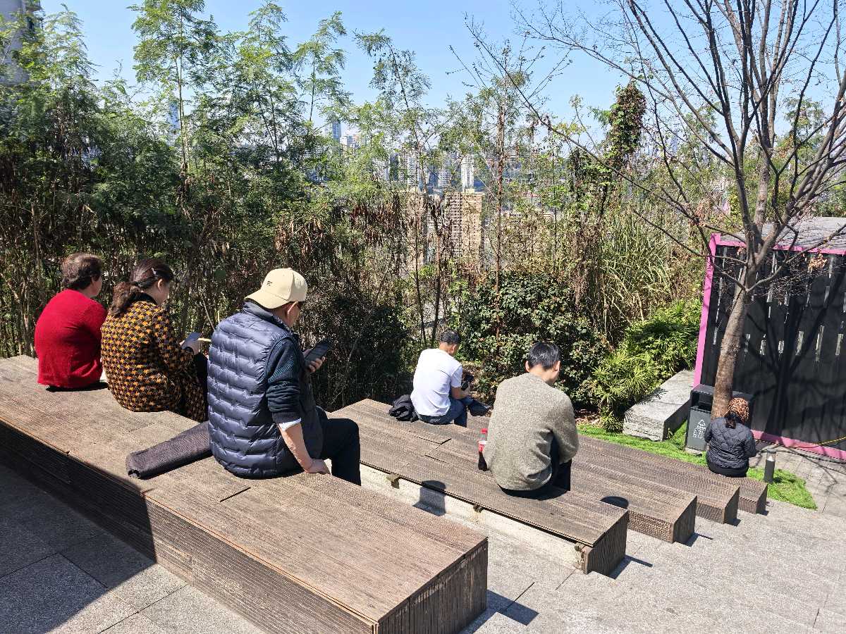 「散文」晴暖渝州，春归母城（图3）