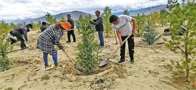 【荣耀中国】文学社*七律•植树造林富家乡作者/王富保(山西和顺)（图3）