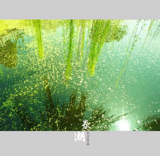 《七绝：春潮》文/纪少华——名家作品（图2）