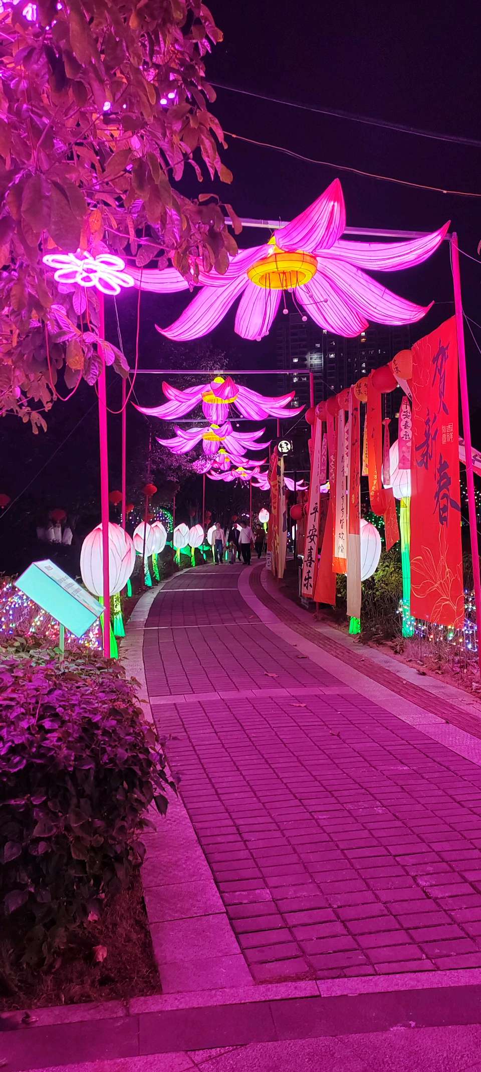 荷城灯会（赵文珍）