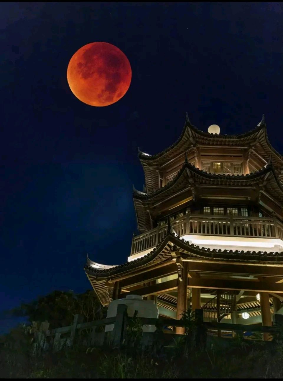 聆听 ‖ 楚盈香朗诵《四段诗:毛边的血月》作者/杜劲松（图6）
