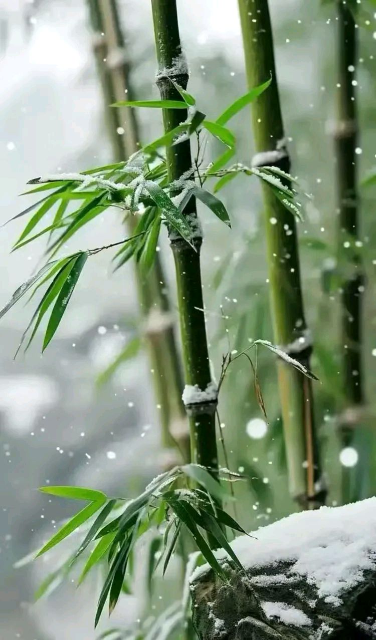《谢瑛中——就是中！》联机全球发布晨曦作品（图9）