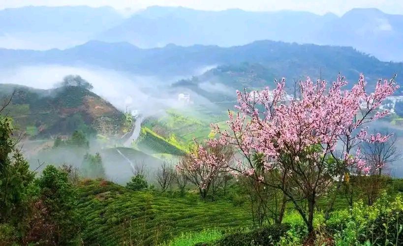 【北京头条】唐子岳诗歌专辑311期（图8）