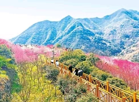 【荣耀中国】文学社*七律·植树感怀作者/李德政（安康）（图3）
