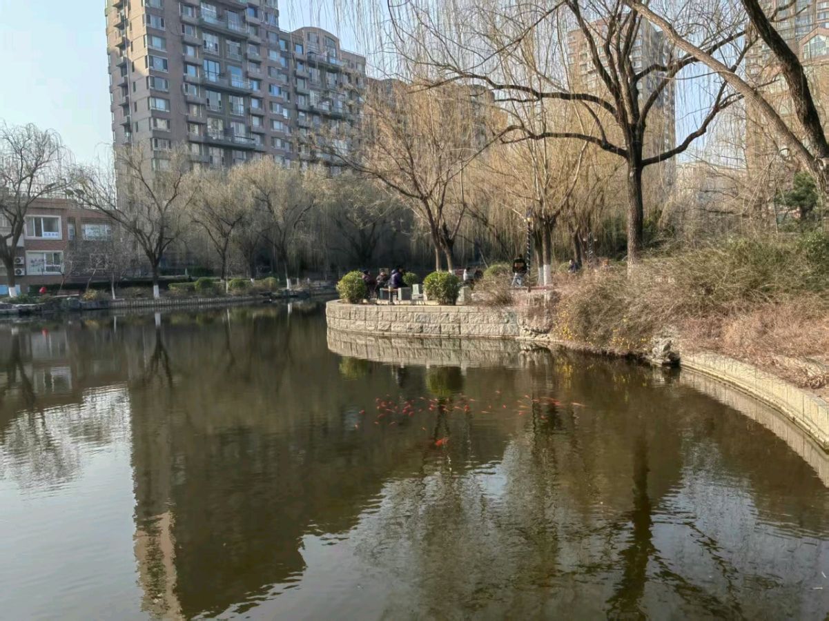 【都市精英文学社】七律.香湖春色 北大山（图4）